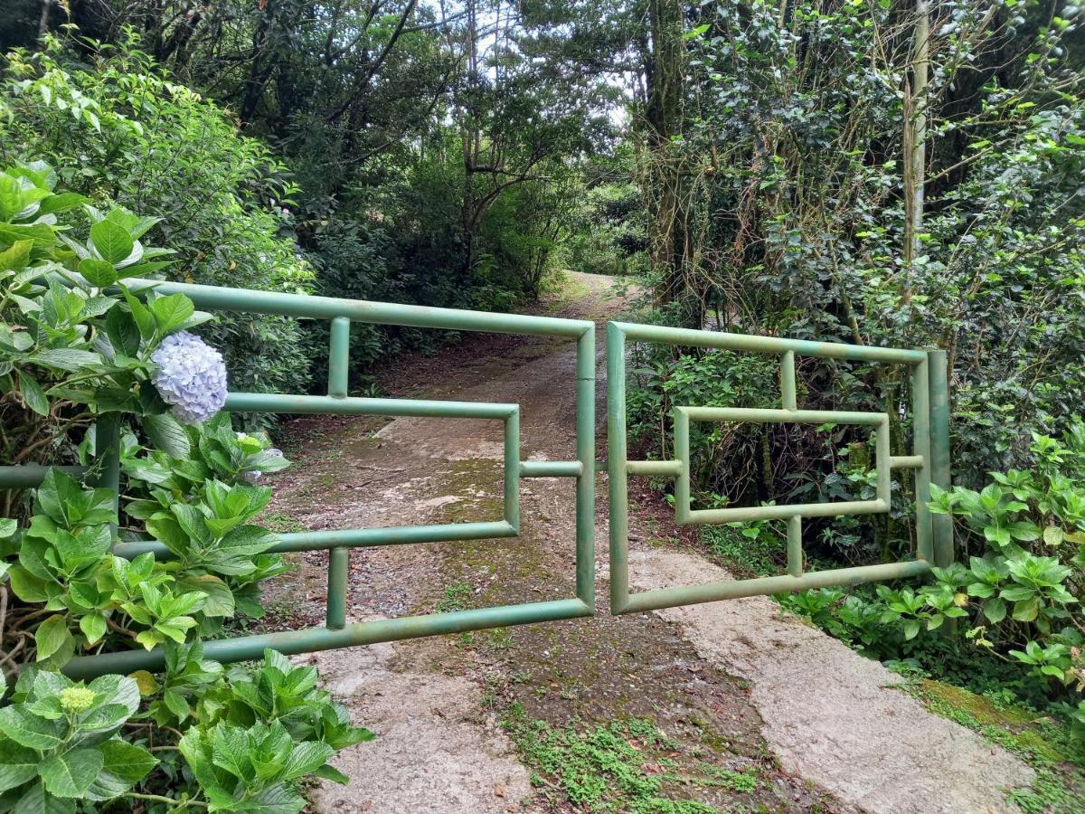 Casa De Montana Tica Linda Villa Monteverde Exterior photo