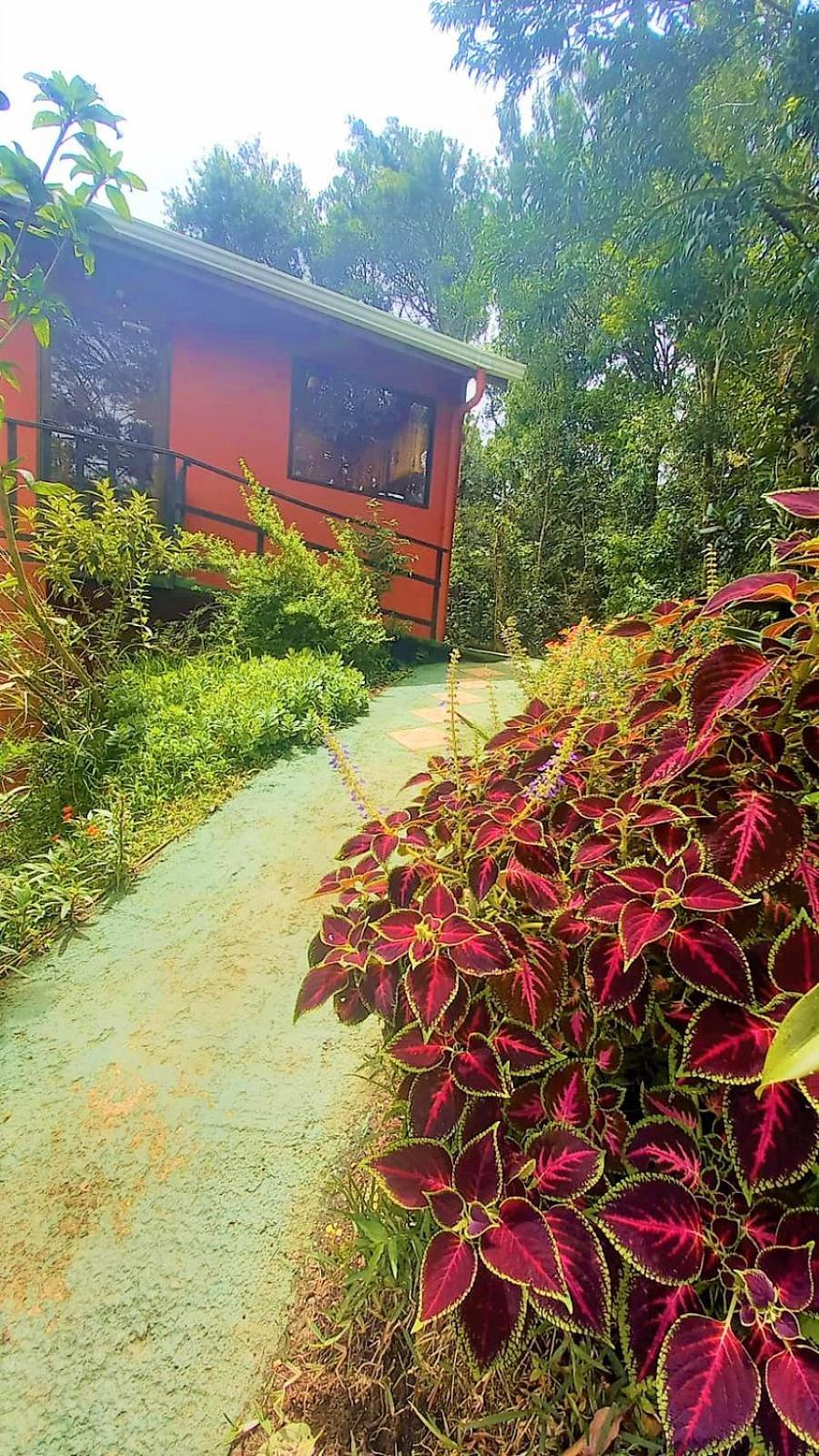 Casa De Montana Tica Linda Villa Monteverde Exterior photo